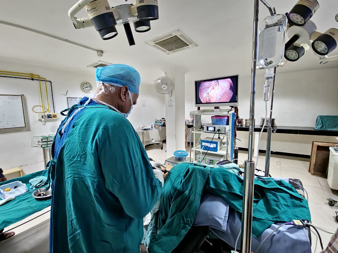 Gallery Image 7